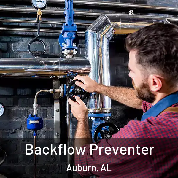  Backflow Preventer Auburn, AL