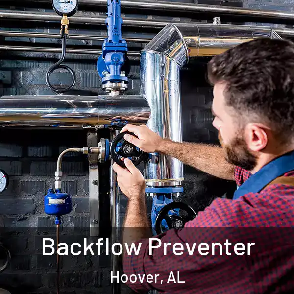  Backflow Preventer Hoover, AL