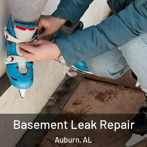  Basement Leak Repair Auburn, AL