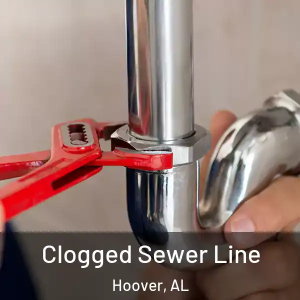  Clogged Sewer Line Hoover, AL