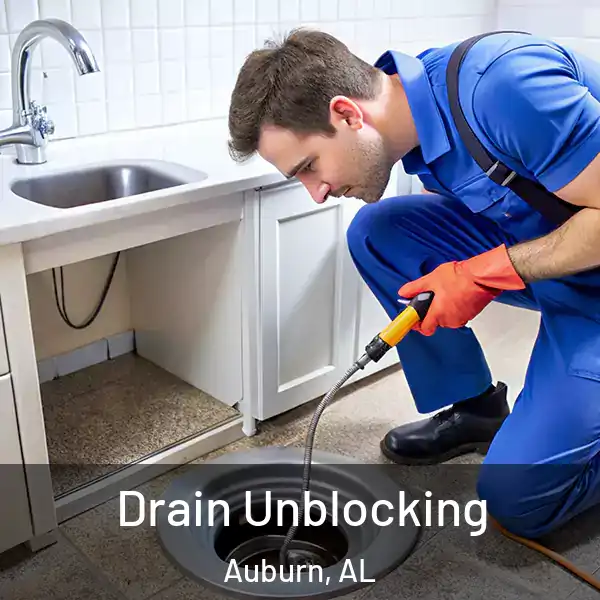  Drain Unblocking Auburn, AL