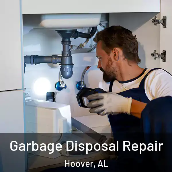  Garbage Disposal Repair Hoover, AL
