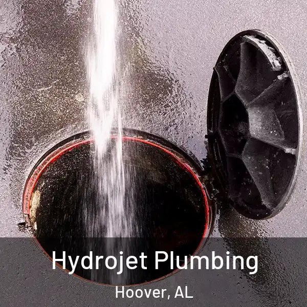  Hydrojet Plumbing Hoover, AL