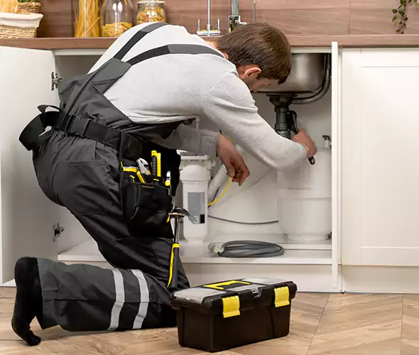 Certified Plumbers for Insinkerator Installation in Pelham, AL: Schedule Affordable Services With Us