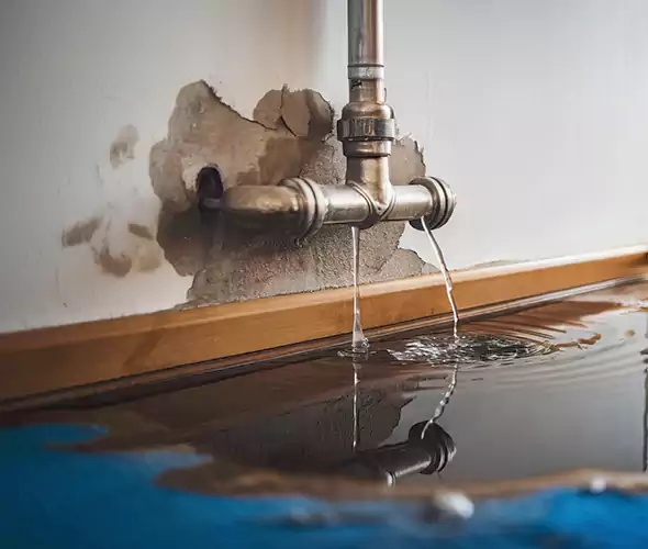Professional Water Damage Restoration Experts in Pelham, AL — Fast, Reliable & Certified