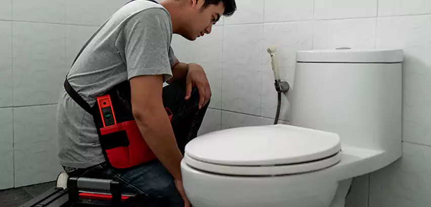 Toilet Repair in Pelham