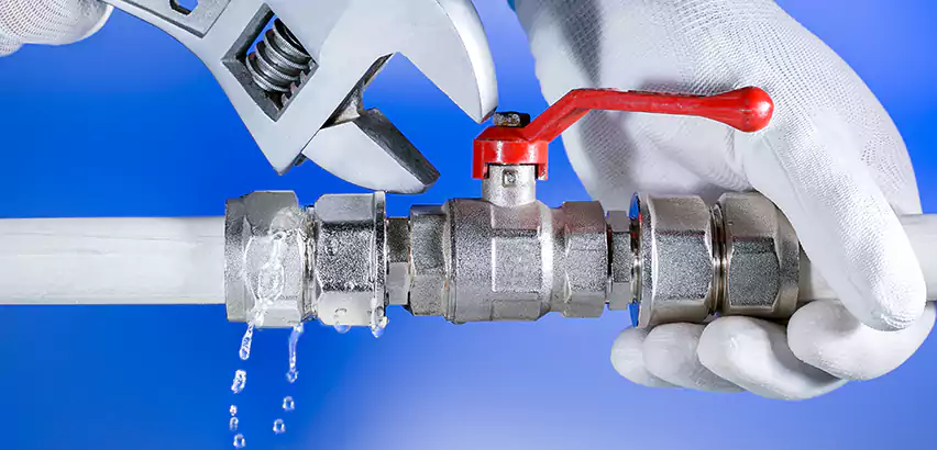 Professional Water Line Repair Services in Pelham, AL