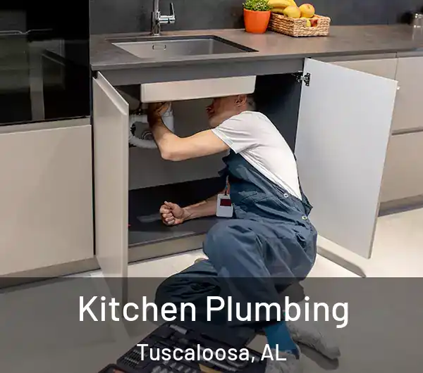  Kitchen Plumbing Tuscaloosa, AL