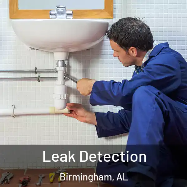  Leak Detection Birmingham, AL