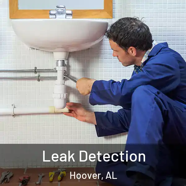  Leak Detection Hoover, AL