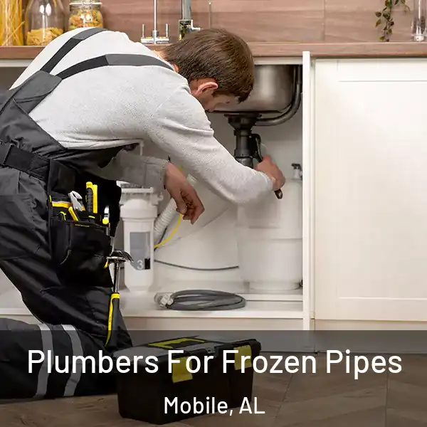  Plumbers For Frozen Pipes Mobile, AL