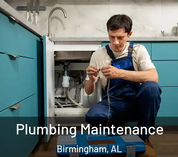  Plumbing Maintenance Birmingham, AL
