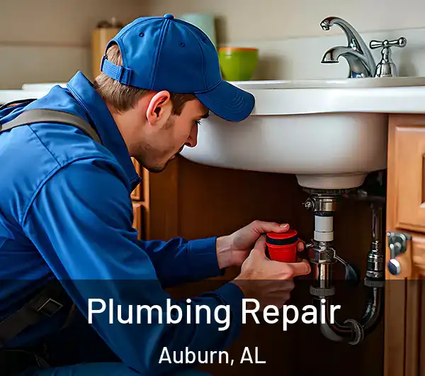  Plumbing Repair Auburn, AL