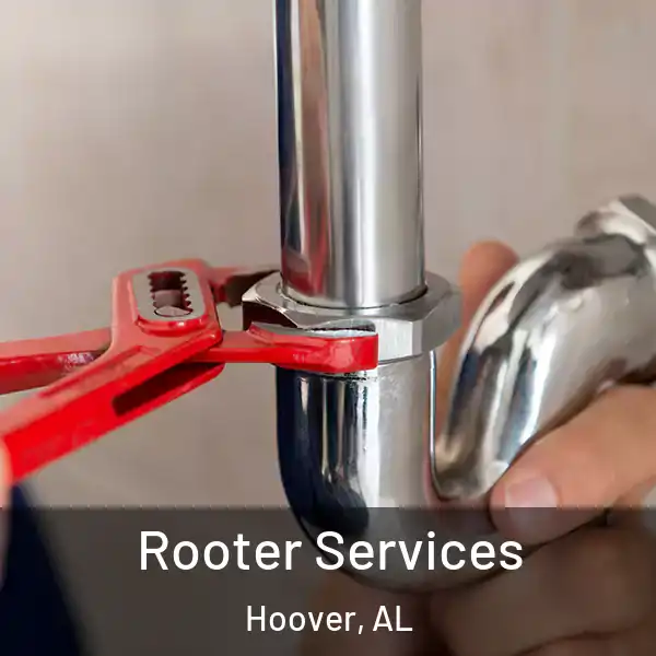  Rooter Services Hoover, AL