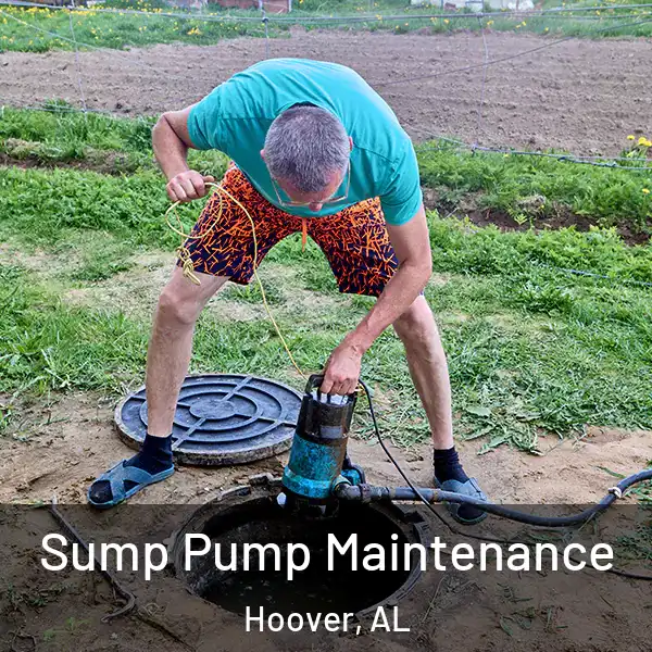  Sump Pump Maintenance Hoover, AL