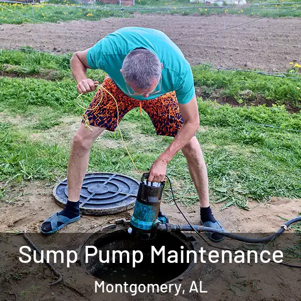  Sump Pump Maintenance Montgomery, AL