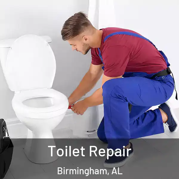  Toilet Repair Birmingham, AL