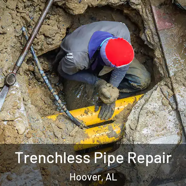  Trenchless Pipe Repair Hoover, AL