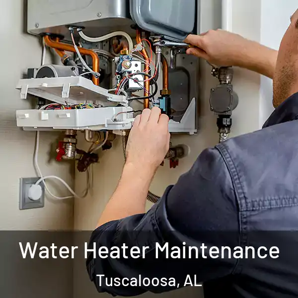  Water Heater Maintenance Tuscaloosa, AL