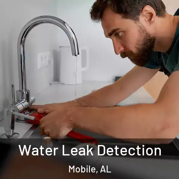  Water Leak Detection Mobile, AL