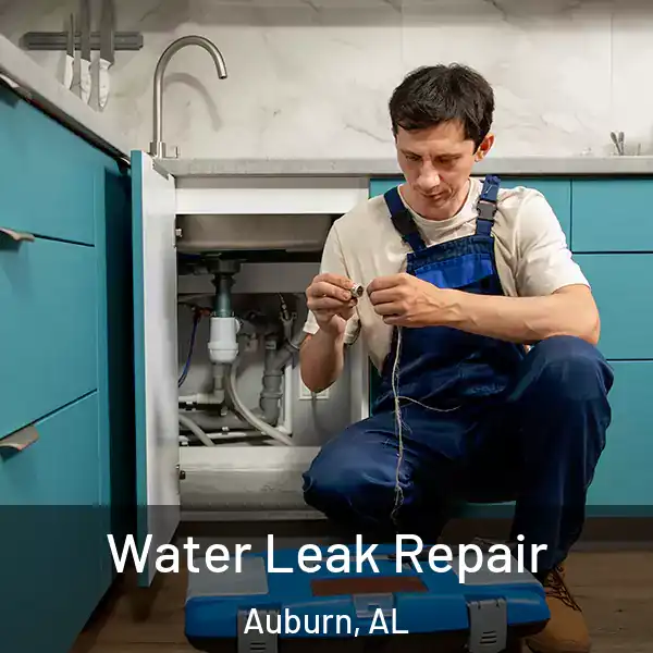  Water Leak Repair Auburn, AL
