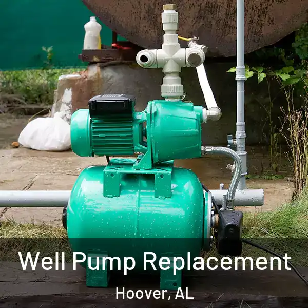  Well Pump Replacement Hoover, AL